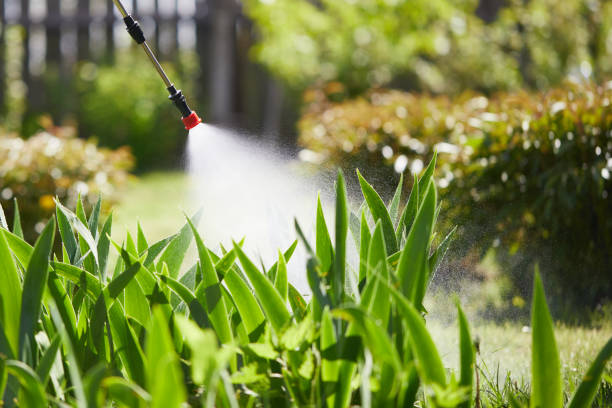 24/7 Emergency Termite Control experts in Stanton, KY